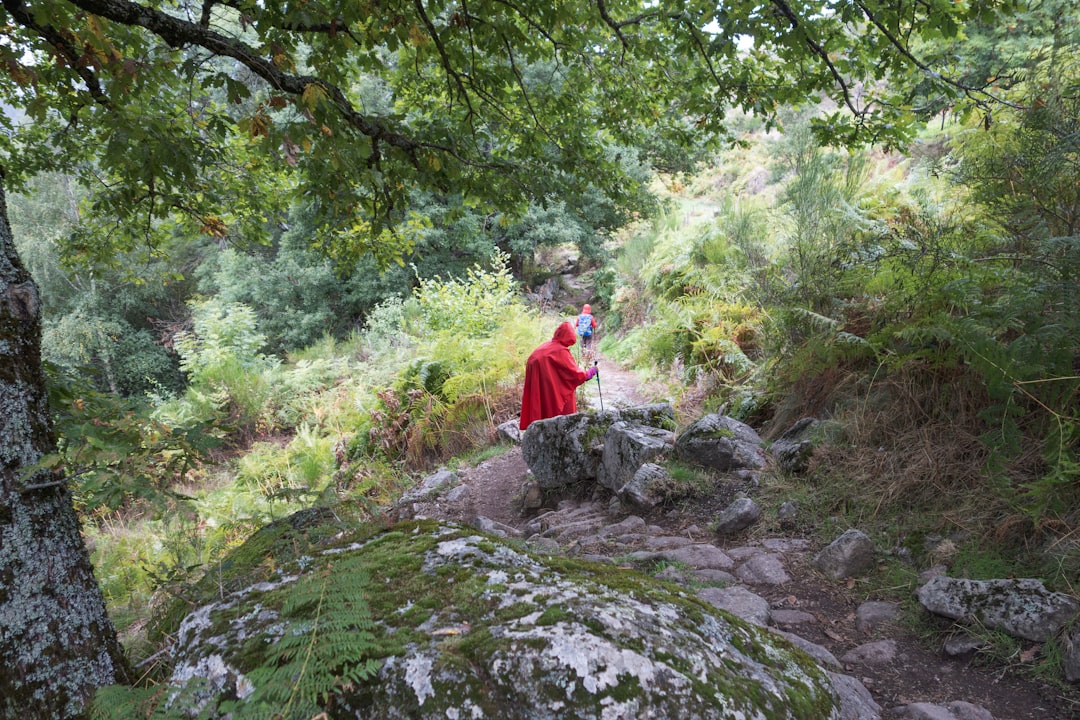 De stille revolutie: waarom we helemaal anders zijn gaan reizen