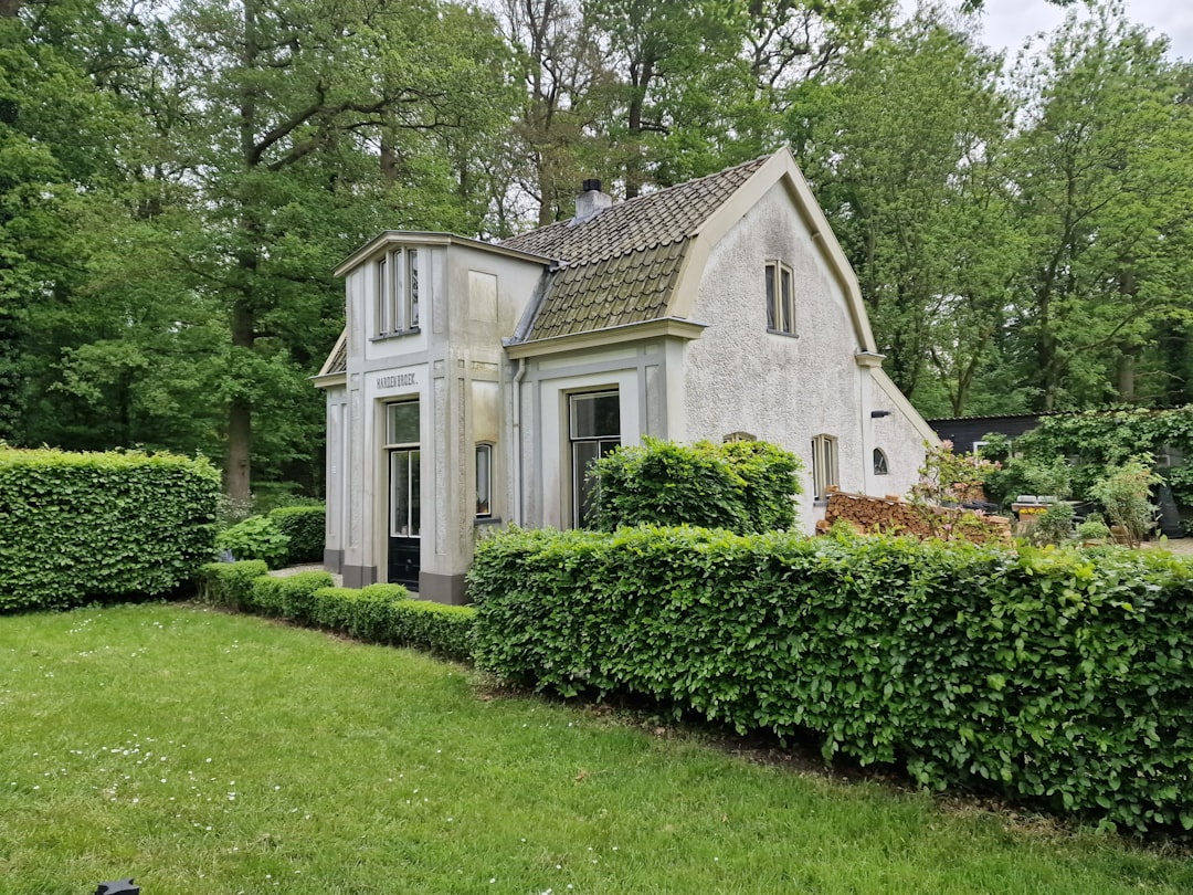 Tiny house in een Nederlandse woonwijk