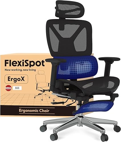 FlexiSpot ErgoX Ergonomische Bureaustoel