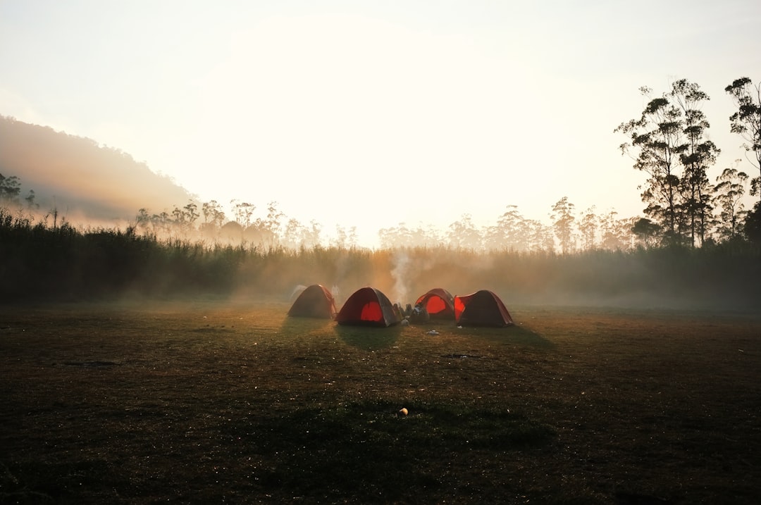 Kleine tent in de natuur bij het ochtendgloren