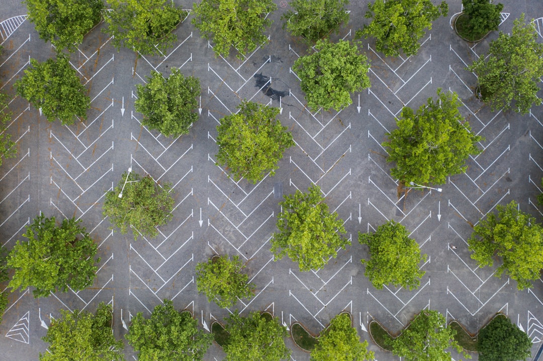 Een voormalige parkeerplaats omgetoverd tot groene ruimte