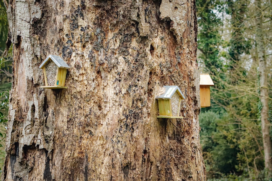 Insectenhotel in een groene tuin voor bestuivers