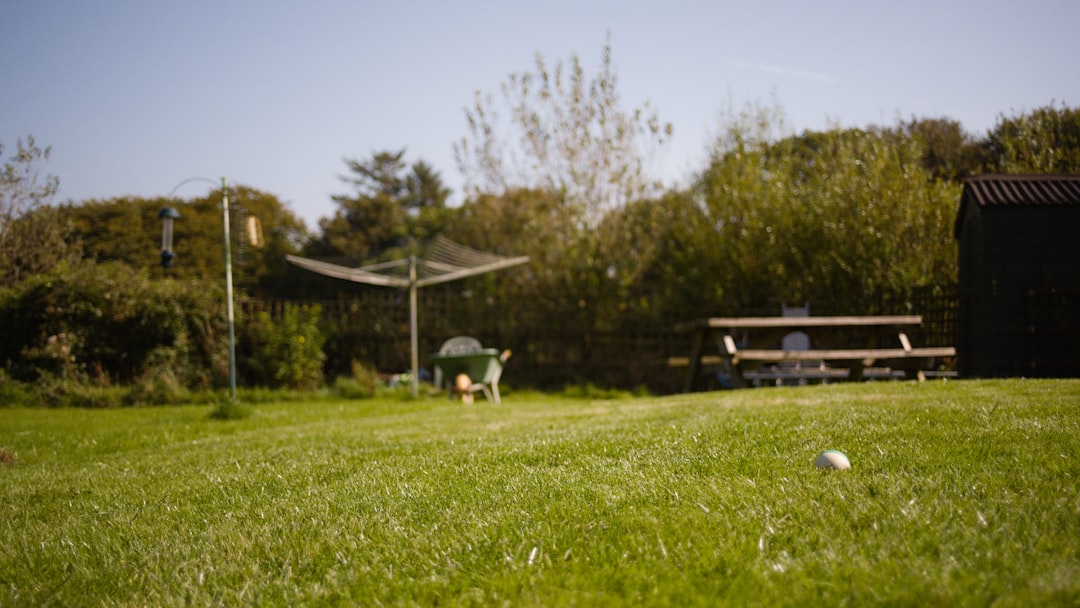 Robotmaaier op een groen gazon in een Nederlandse tuin