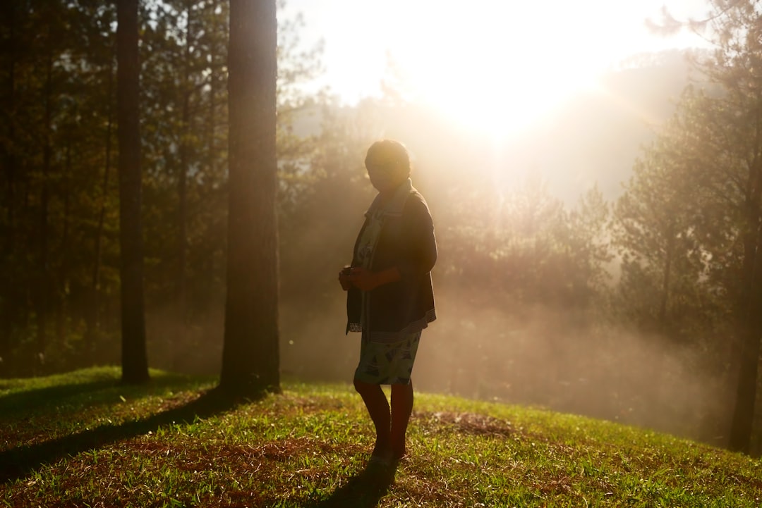 Wandelpad door een bos met ochtendlicht
