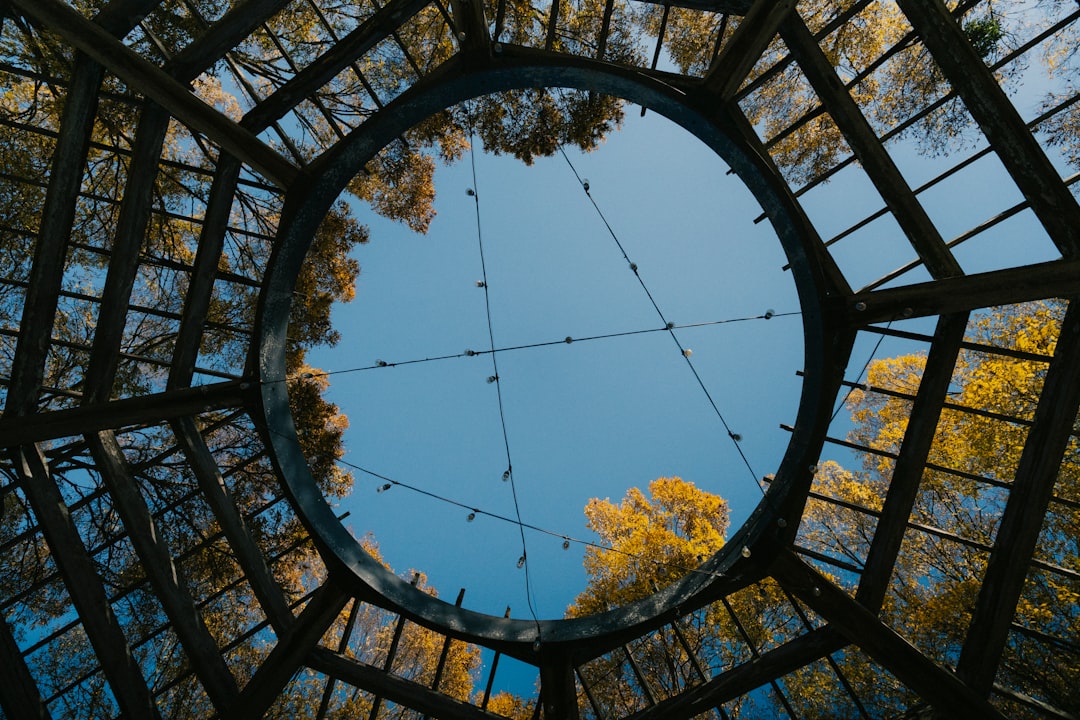 Moderne houten overkapping met sfeerverlichting boven een terras