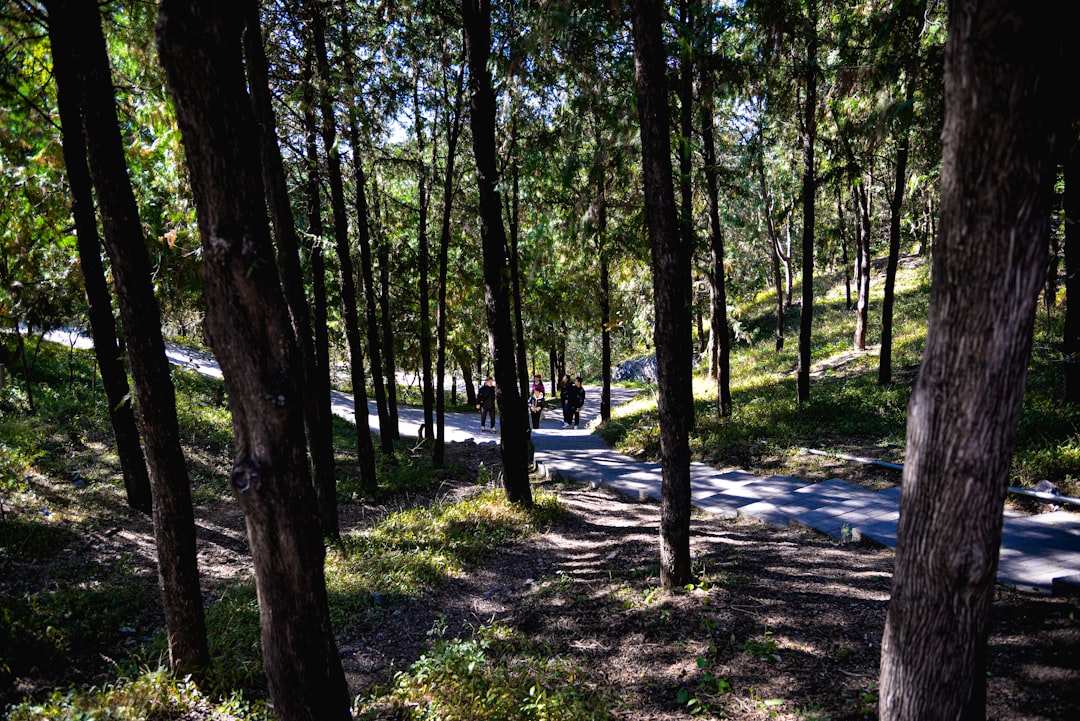 Mensen wandelen ontspannen over een bospad als vorm van dagelijkse beweging