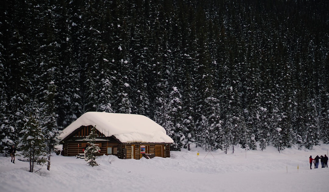 Gezellige hut in het bos omringd door natuur