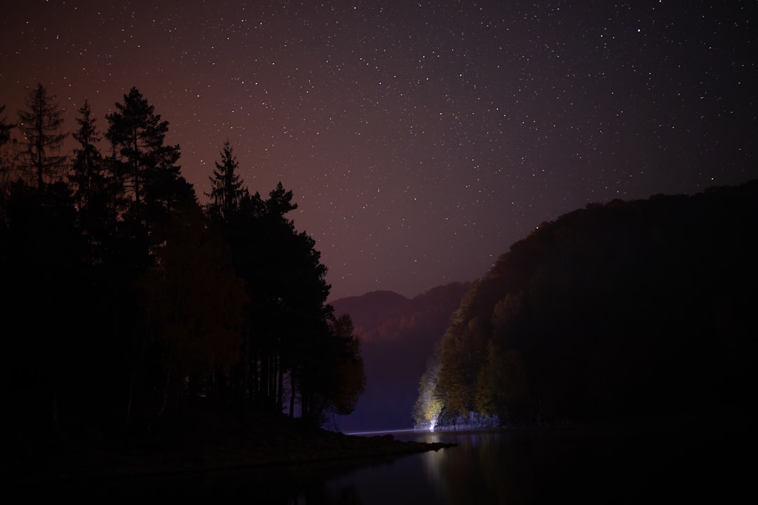 Buiten koken bij een kampvuur onder de sterrenhemel