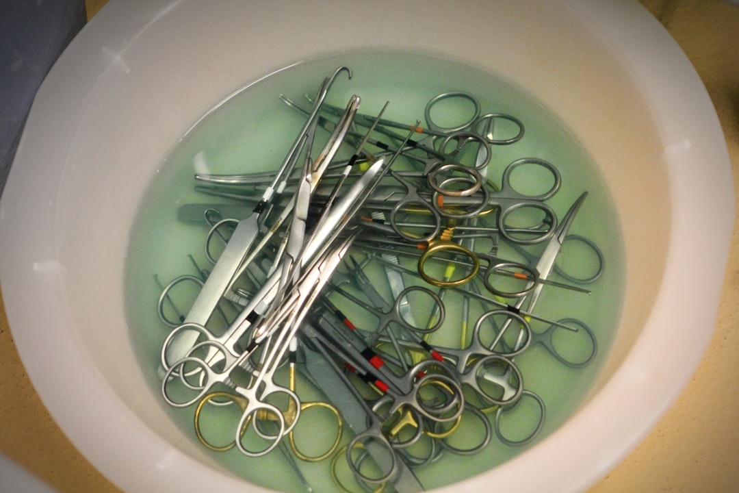 Dierenarts onderzoekt een hond tijdens een preventieve controle