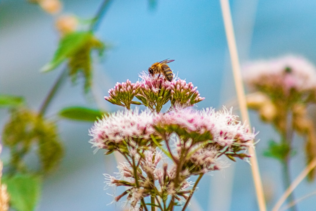 De tuin als ecosysteem: waarom we in 2026 heel anders naar ons groen kijken