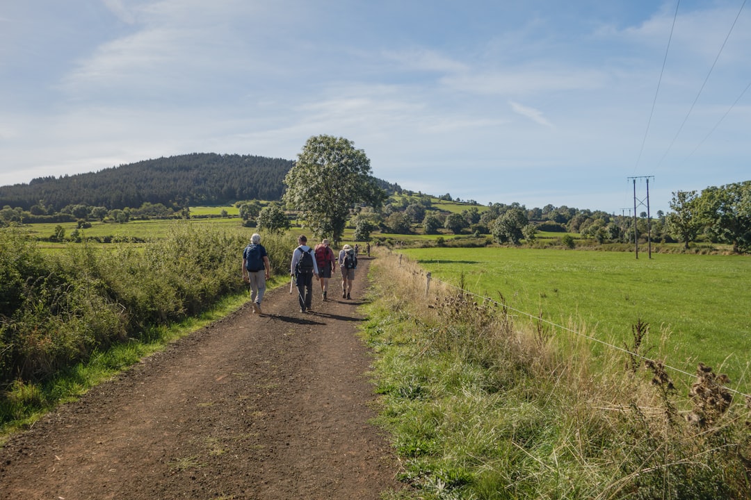 Fietser op een landweggetje door groene weilanden
