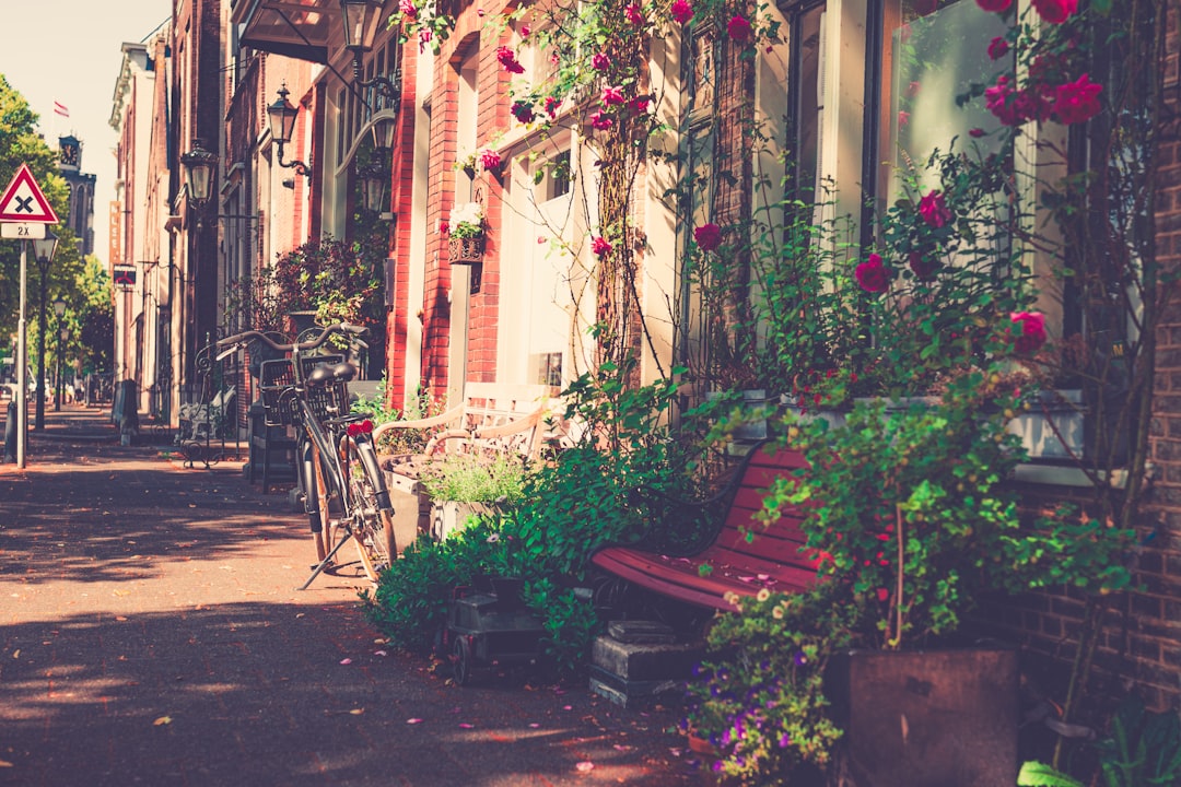 Het grote parkeergevecht: waarom Nederlandse steden duizenden parkeerplaatsen laten verdwijnen