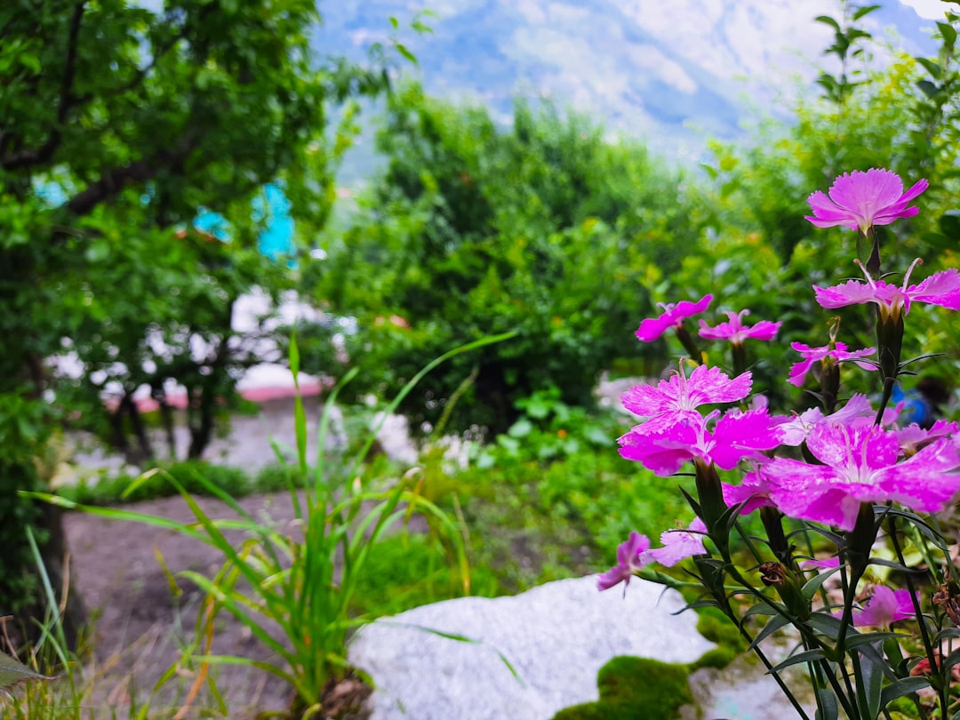 Van moestuinhoekje tot eetbaar paradijs: waarom je tuin stilletjes je supermarkt vervangt